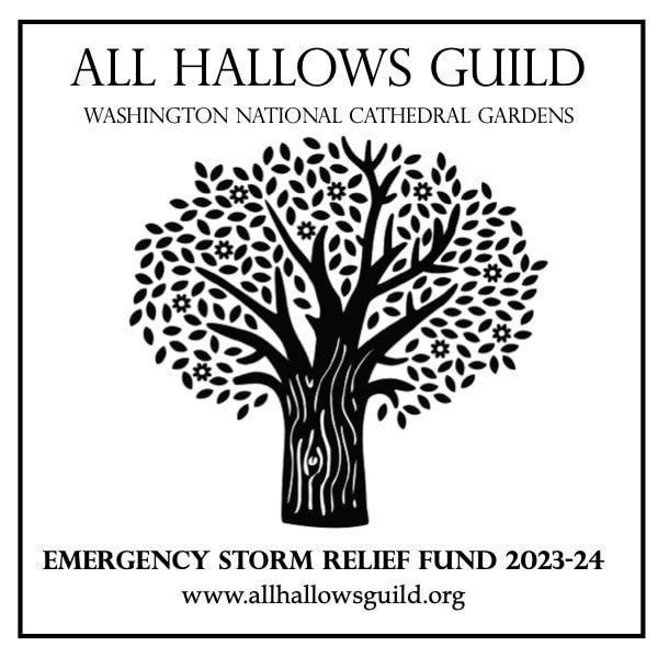 Storm Relief Fund logo