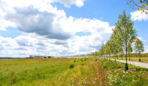 FLIGHT 93 TREES