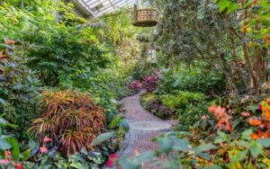 498784_Winter Wonder_Garden-Path_Becca-Mathias