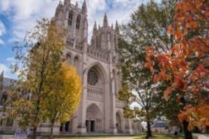 FallCathedral