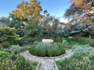 herb circle in morning