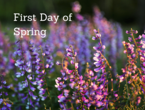 Spring