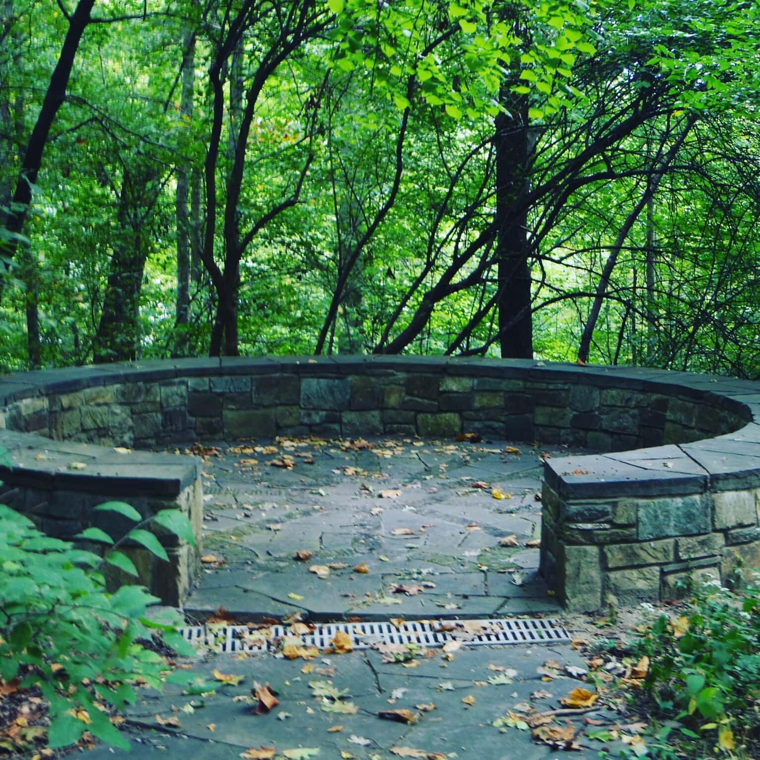 OlmWoodsCircle OlmWoodsCircle