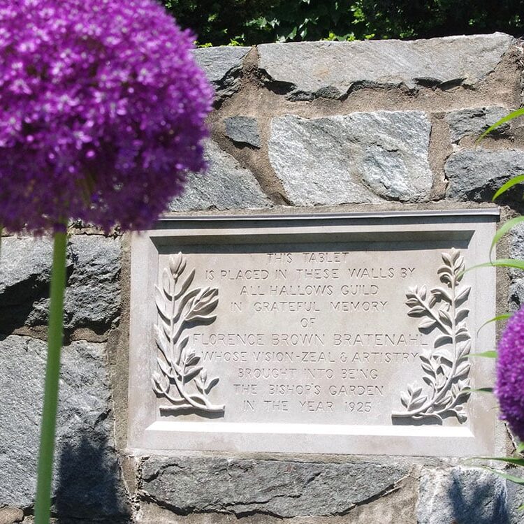 history_AlliumBratenahlPlaque history_AlliumBratenahlPlaque